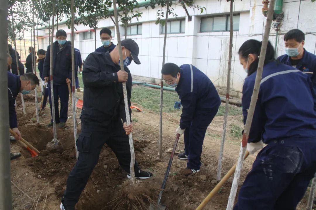 常州廠區(qū)植樹