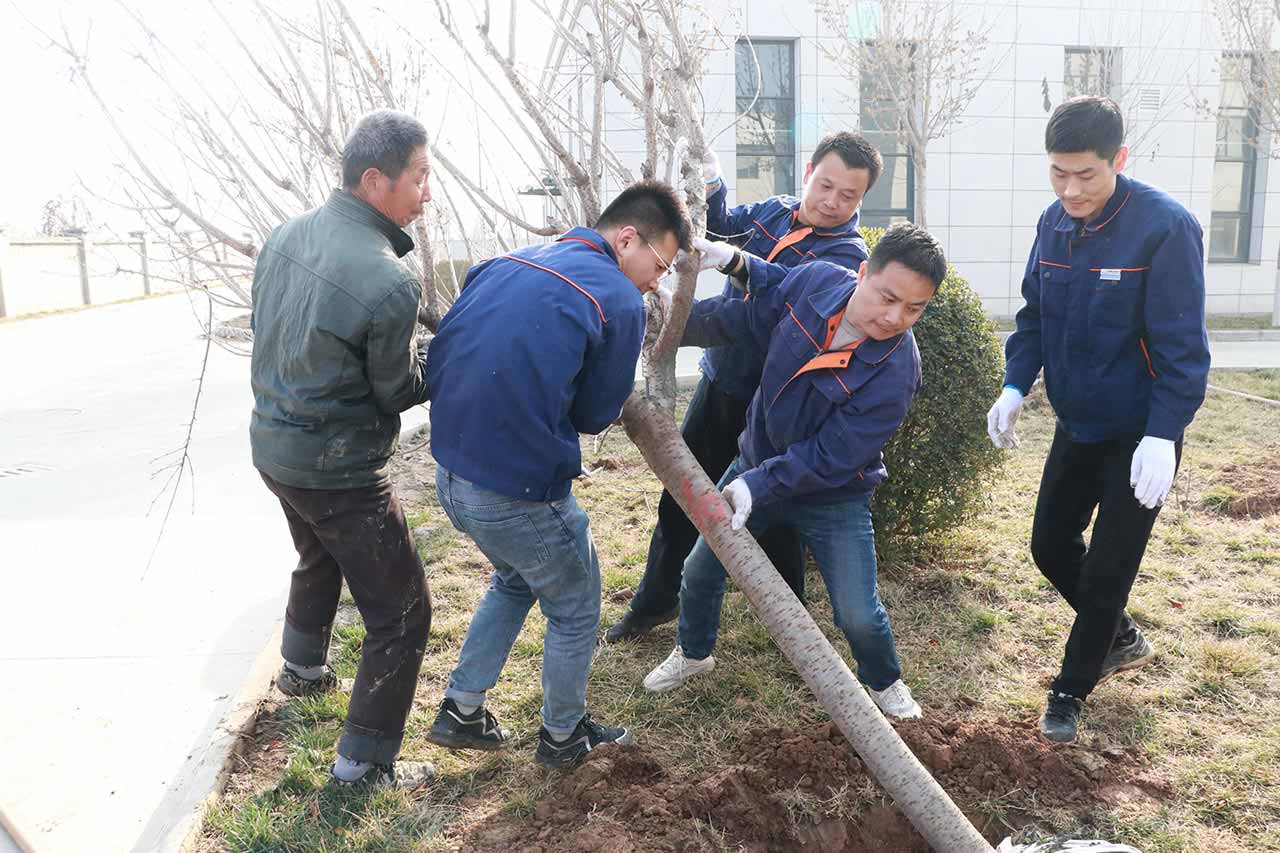 江蘇工廠植樹(shù)活動(dòng)