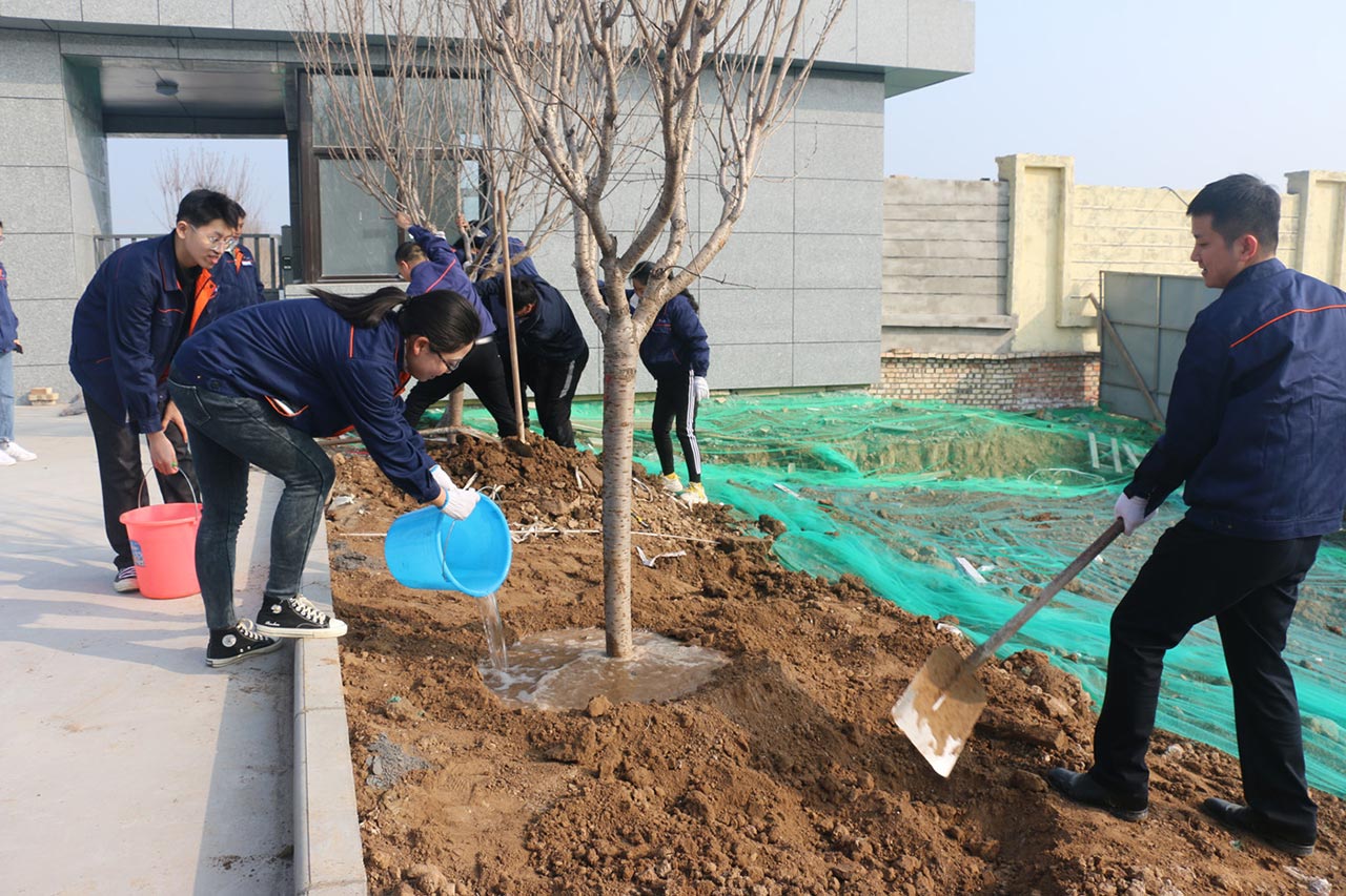 三合一送料機(jī)工廠植樹(shù)